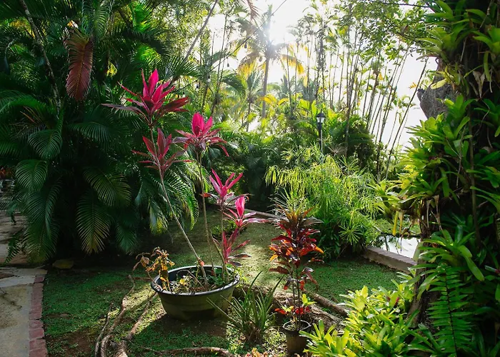 Hacienda Azucena, Rio Grande, El Yunque Rain Forest