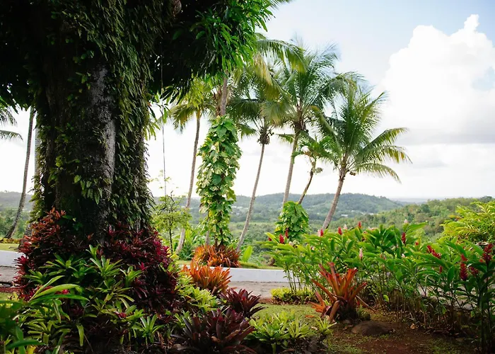 Hacienda Azucena, Rio Grande, El Yunque Rain Forest